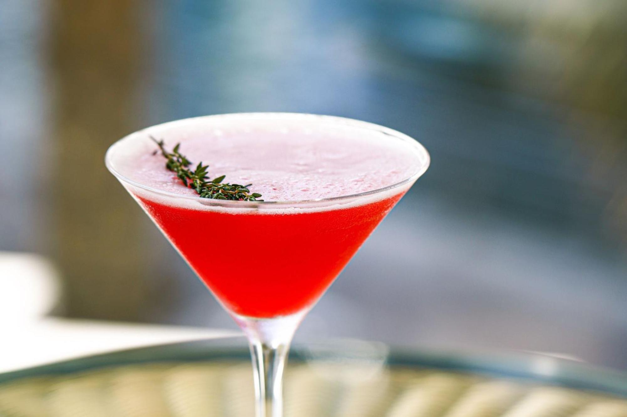 คราวน์ พลาซา ดูไบ มารีนา Hotel ภายนอก รูปภาพ A cosmopolitan garnished with a sprig of thyme